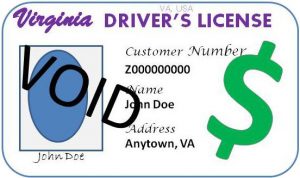 DMV Drivers License